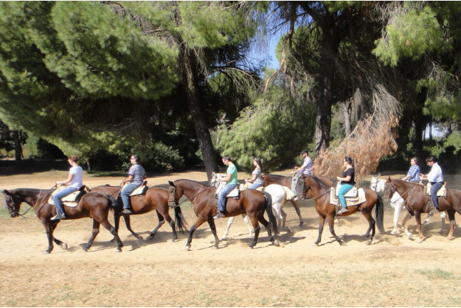 Paseo a Caballo para dos por Pinares de Aznalcázar (Sevilla)