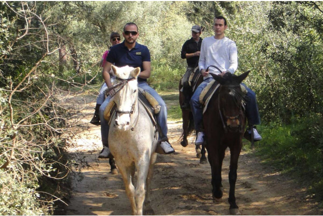 Paseo a Caballo para dos por Pinares de Aznalcázar (Sevilla)