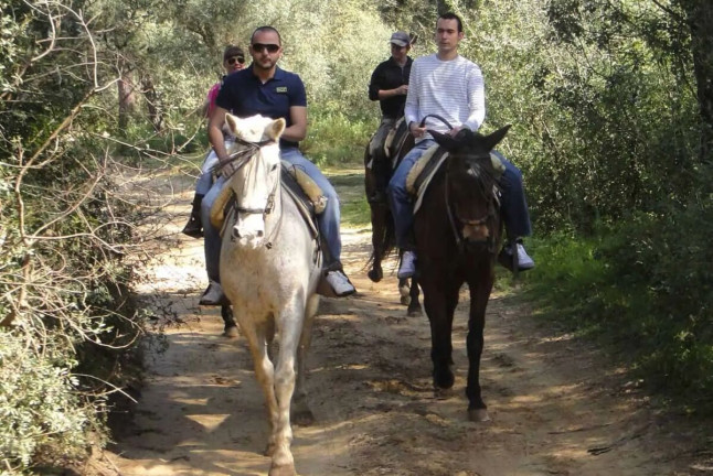 Paseo a Caballo (Sevilla)