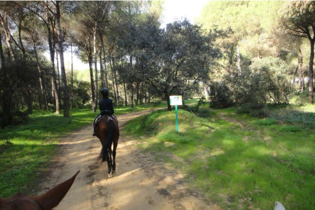 Paseo a Caballo (Sevilla)