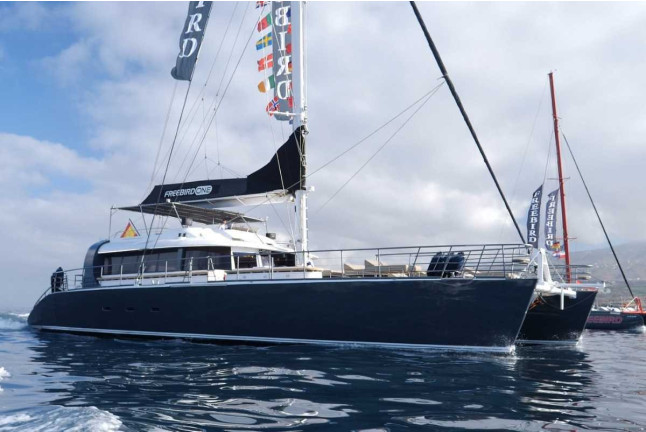Paseo en Catamarán Freebird para Avistamiento de Ballenas y Delfines con Baño (Costa Adeje, Tenerife)