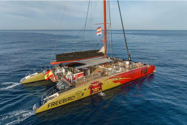 Paseo en Catamarán Freebird para Avistamiento de Ballenas y Delfines con Baño (Costa Adeje, Tenerife)