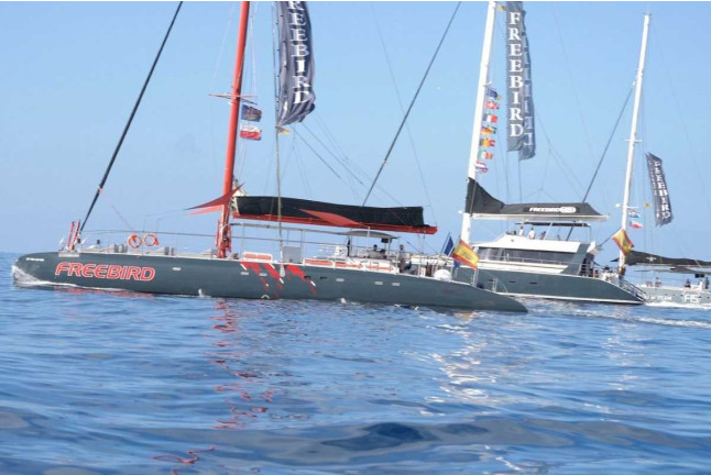 Paseo en Catamarán Freebird para Avistamiento de Ballenas y Delfines con Baño (Costa Adeje, Tenerife)
