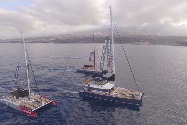 Paseo en Catamarán Freebird para Avistamiento de Ballenas y Delfines con Baño (Costa Adeje, Tenerife)