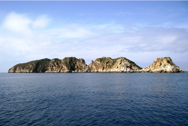 Bay Cruise - Paseo en Catamarán con Baño en Islas Malgrats (Mallorca)