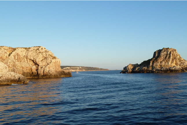 Paradise: Paseo en Catamarán con Baño por Puerto Andratx (Mallorca)