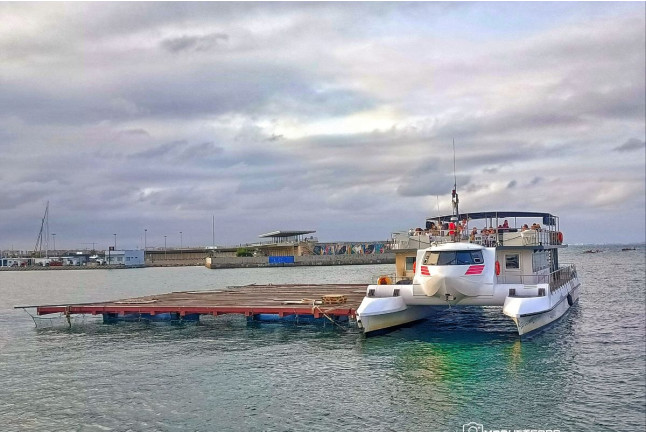 Paseo en Catamarán a la Puesta de Sol con Copa de Agua de Valencia (Valencia)