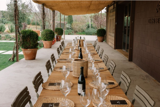 Paseo Guiado con Cata de Vinos y Comida para dos en Clos de Basella (Siurana, Girona)