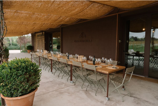 Paseo Guiado con Cata de Vinos y Comida para dos en Clos de Basella (Siurana, Girona)