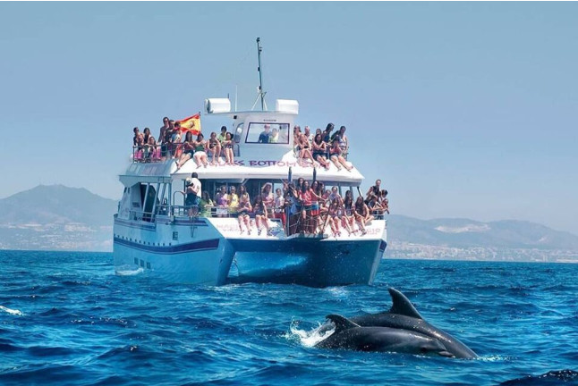 Avistamiento de Delfines y Vistas a la Costa del Sol (Benalmádena, Málaga)