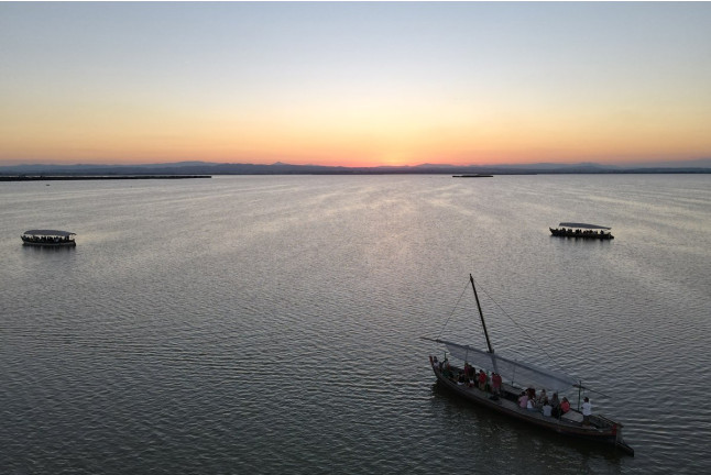 Paseo en Barca Guiado por la Albufera con Visita a Barraca (El Palmar, Valencia)