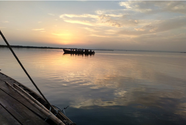 Paseo en Barca Guiado por la Albufera con Visita a Barraca (El Palmar, Valencia)