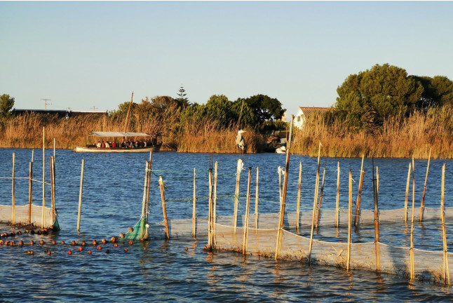 Paseo en Barca Guiado por la Albufera con Visita a Barraca (El Palmar, Valencia)