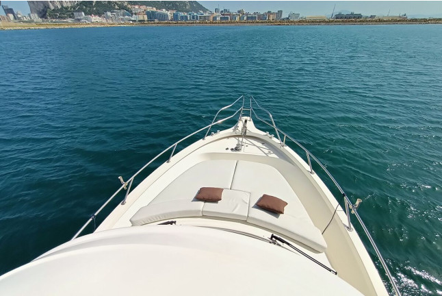 Paseo en Barco en Exclusiva con Avistamiento de Delfines para dos (La Línea de la Concepción, Cádiz)