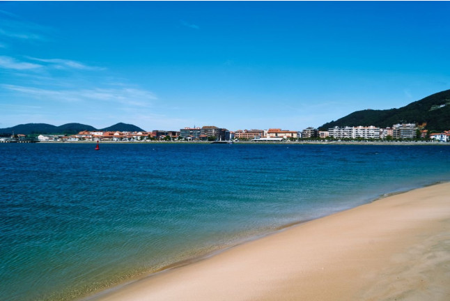 Paseo en Barco y Visita a Fábrica de Anchoas (Santoña, Cantabria)