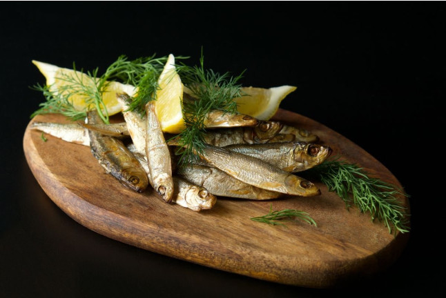 Paseo en Barco y Visita a Fábrica de Anchoas (Santoña, Cantabria)