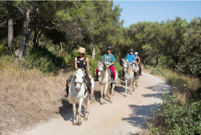 Excursión a Caballo y Brunch o Comida (Mallorca)
