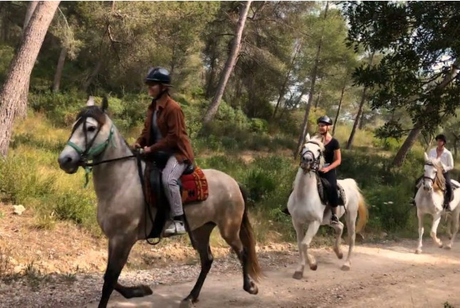 Excursión a Caballo y Brunch o Comida (Mallorca)