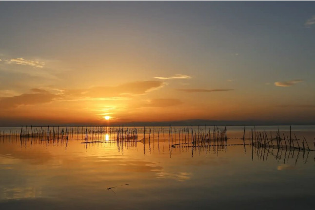 Paseo en Barca Privada por la Albufera para dos (Valencia)