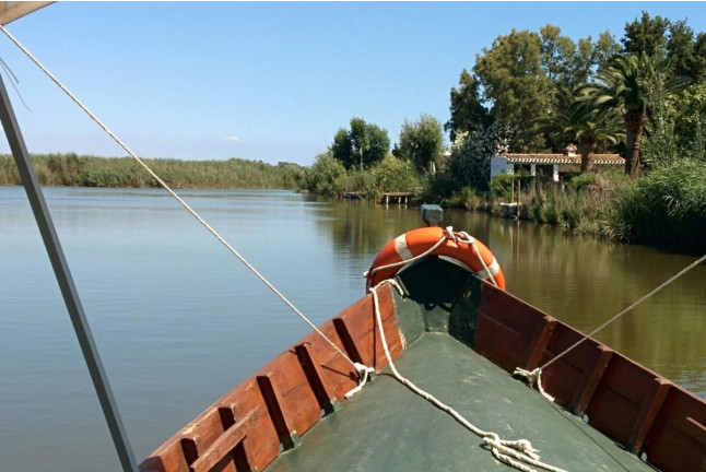 Paseo en Barca Privada por la Albufera para dos (Valencia)