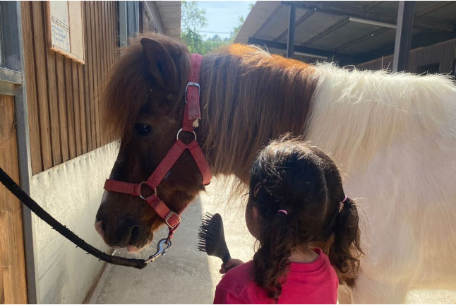 Paseo en Poni con Opción a Contacto para Niños en el Montseny (Barcelona)