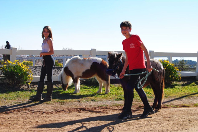 Paseo en Poni con Opción a Contacto para Niños en el Montseny (Barcelona)