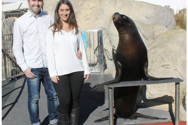 Pasaporte Animalia: Encuentro con Delfines y Leones Marinos en el Oceanogràfic - No incluye Entrada (Valencia)