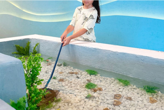 Pesca tu Perla: Pesca de un Mejillón, Revelación y Valoración de la Perla con Montura Opcional (Tenerife)