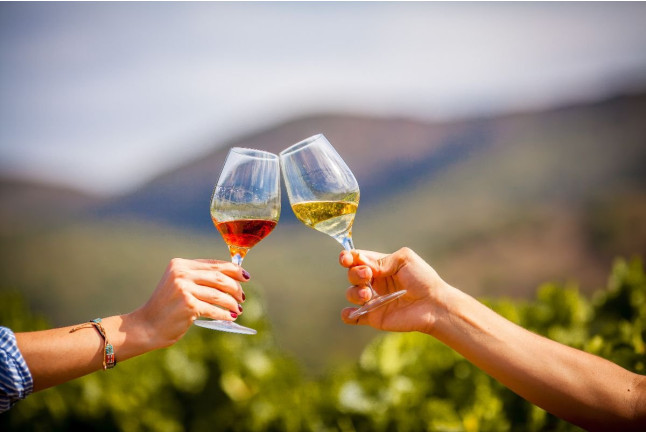 Picnic en el Viñedo con Vinos DO Empordà para dos (Girona)
