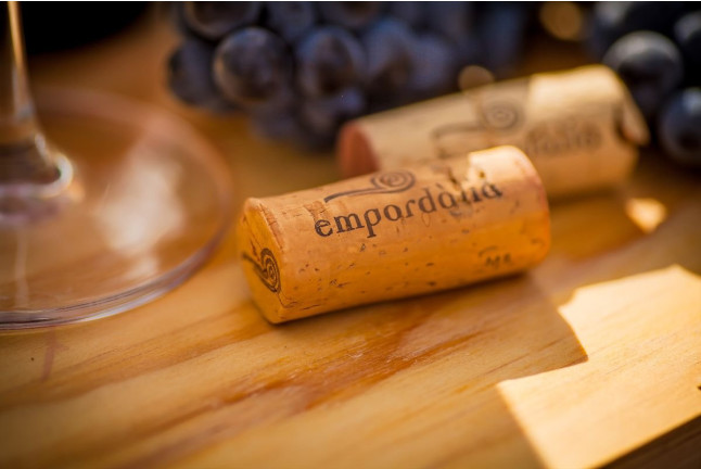 Picnic en el Viñedo con Vinos DO Empordà para dos (Girona)