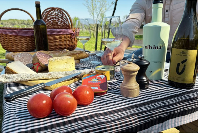 Picnic Gourmet y Cata de Vinos Entre Viñedos para dos en Clos de Basella (Siurana, Girona)