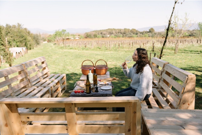 Picnic Gourmet y Cata de Vinos Entre Viñedos para dos en Clos de Basella (Siurana, Girona)