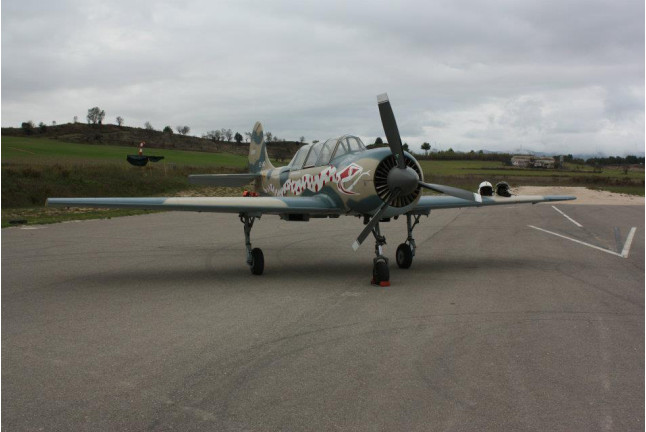 Piloto por un Día en Avión Militar YAK-52 con Vídeo (Igualada, Barcelona)