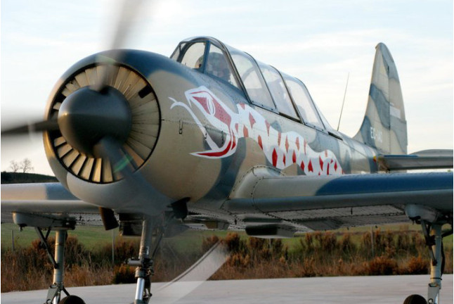 Piloto por un Día en Avión Militar YAK-52 con Vídeo (Igualada, Barcelona)