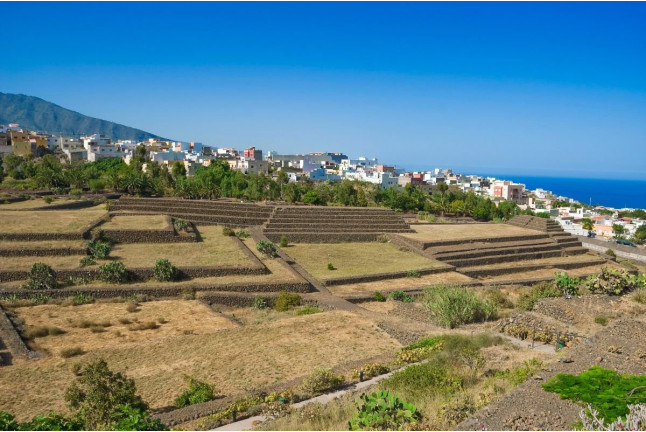 Entrada a Parque Etnográfico y Jardín Botánico Pirámides de Güímar (Tenerife)