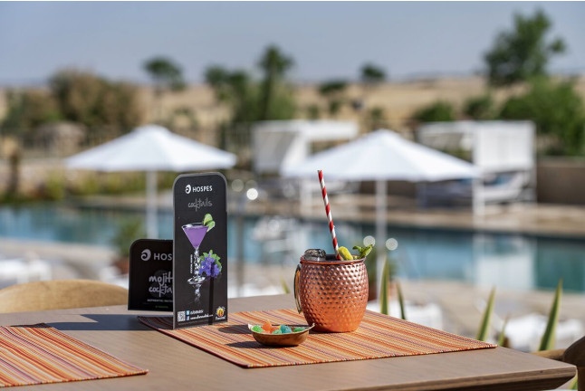 Daypass: Día de Piscina y Tapas en Hotel Hospes Palacio de Arenales & Spa 5* (Cáceres)