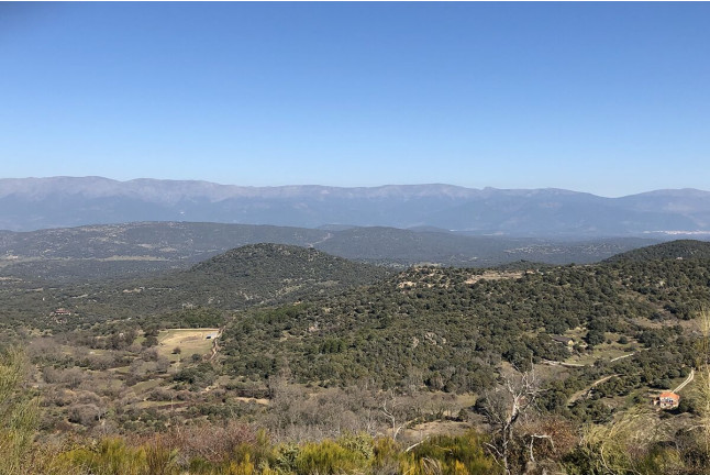 Escapada con Desayuno en La Posada de Bayuela y Visita guiada a Bodegas Canopy con Cata de Vinos y Aperitivo para dos (Toledo)