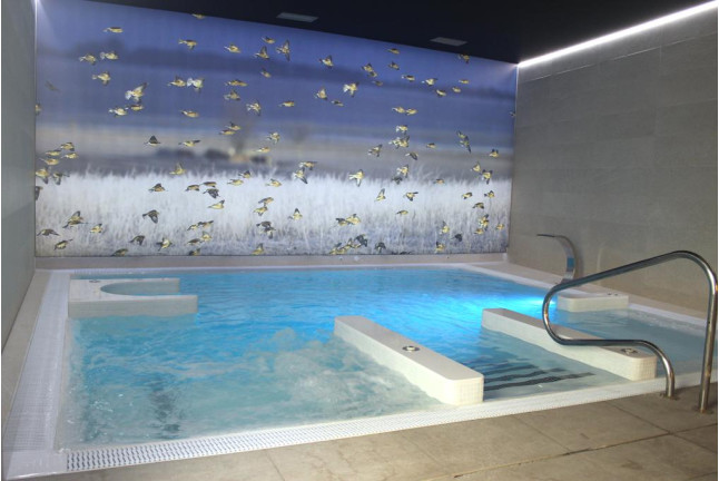Escapada con Circuito Spa y Cena en La Posada Real de Los Condestables 4* (Zamora)