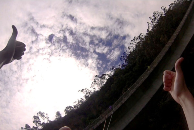 Puenting (Vizcaya)