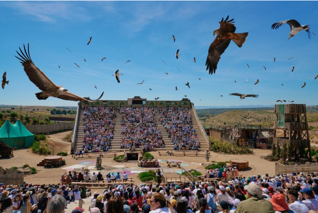 Entrada Combinada Plata: Parque Puy du Fou España y Espectáculo Nocturno "El Sueño de Toledo" (Toledo)