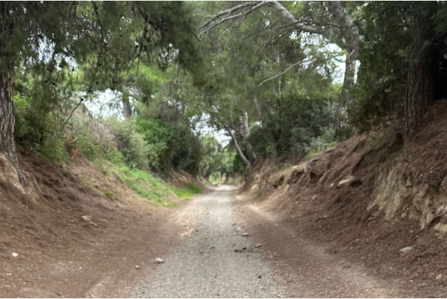 Ruta en Quad para dos (Salou, Tarragona)