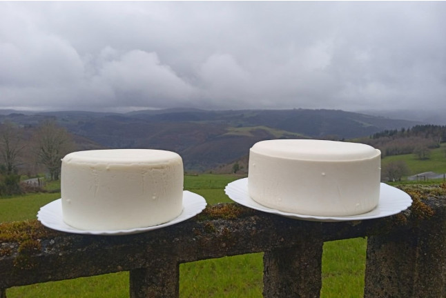 Curso de Quesería y Productos Lácteos (Santa Eulalia de Oscos, Asturias)