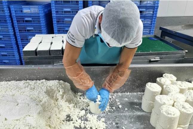 Visita Turística: Visita y Degustación de Queso en Quesería Montesdeoca (Adeje, Santa Cruz de Tenerife)