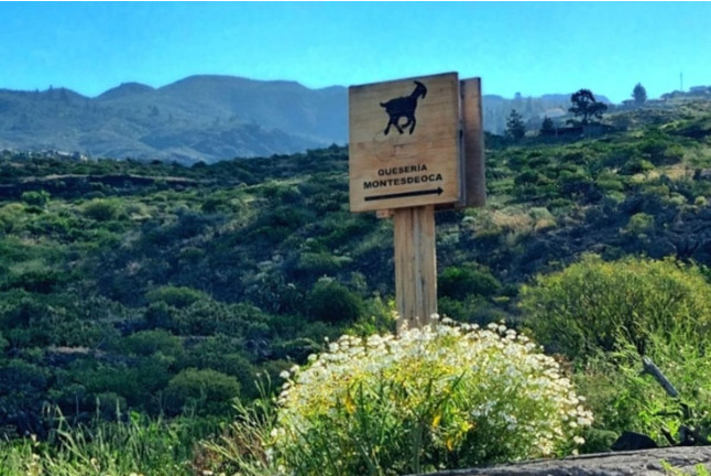 Visita Turística: Visita y Degustación de Queso en Quesería Montesdeoca (Adeje, Santa Cruz de Tenerife)