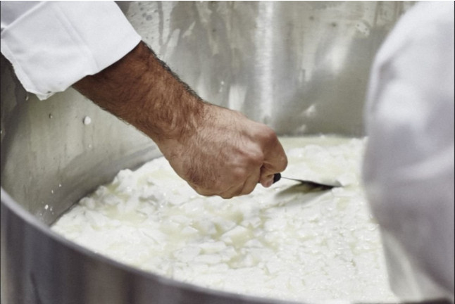 Taller de Queso Fresco: Elaboración, Visita a la Fábrica y Degustación de Queso en CabeSota (Bolaños de Calatrava, Ciudad Real)
