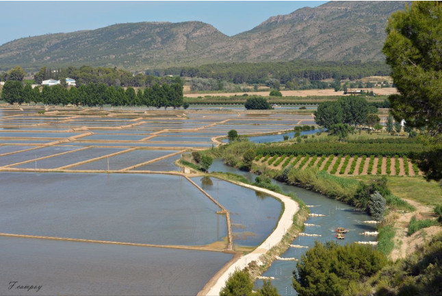 Rafting en los Arrozales de Calasparra (Murcia)