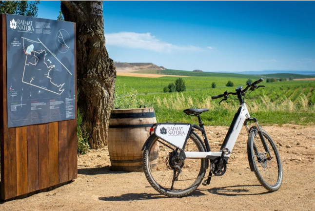 Raimat Sobre Ruedas: Visita a Bodega, Paseo por Raimat Natura en Bicicleta Eléctrica y Degustación de Vinos y Cava (Lleida)