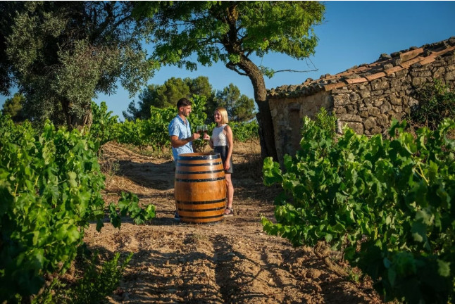 Raimat Sobre Ruedas: Visita a Bodega, Paseo por Raimat Natura en Bicicleta Eléctrica y Degustación de Vinos y Cava (Lleida)