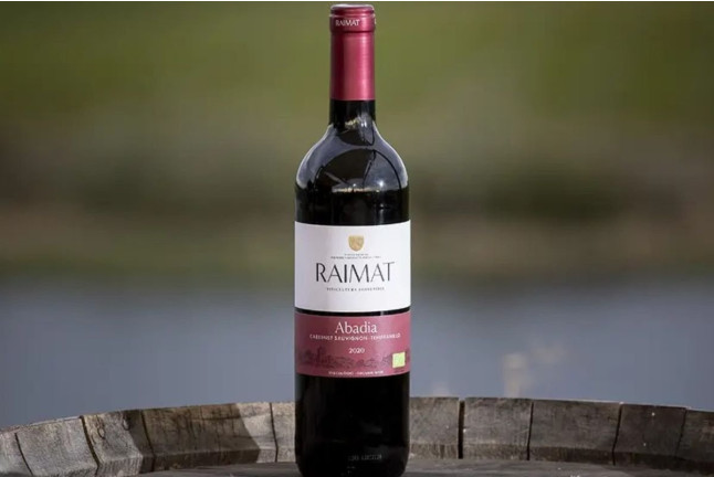Raimat Sobre Ruedas: Visita a Bodega, Paseo por Raimat Natura en Bicicleta Eléctrica y Degustación de Vinos y Cava (Lleida)