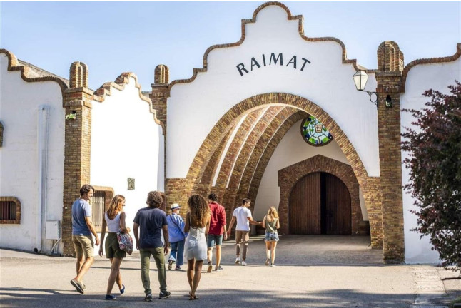 Raimat Sobre Ruedas: Visita a Bodega, Paseo por Raimat Natura en Bicicleta Eléctrica y Degustación de Vinos y Cava (Lleida)